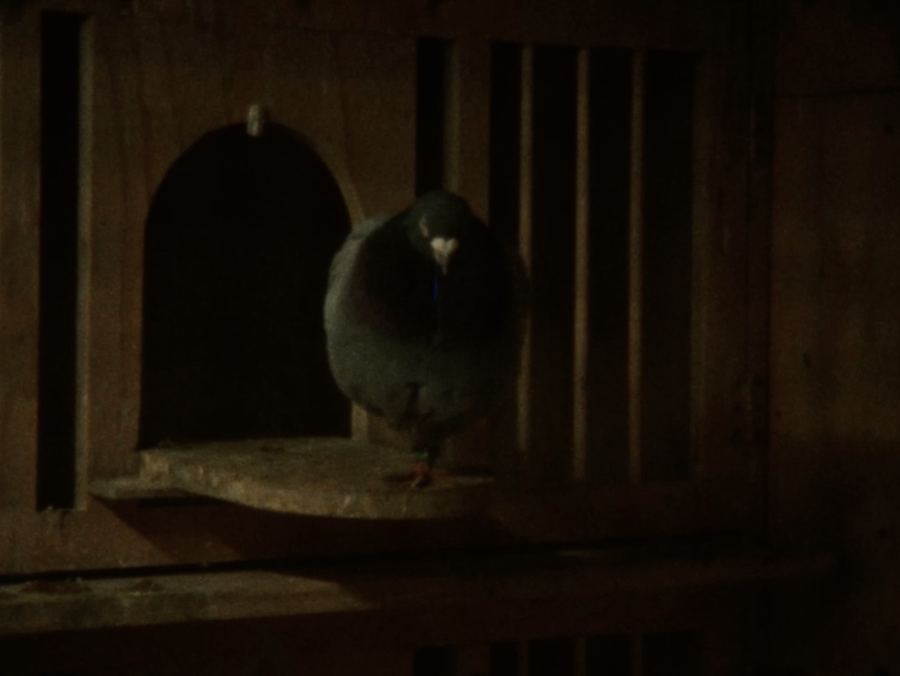 You've Got Mail! still 6